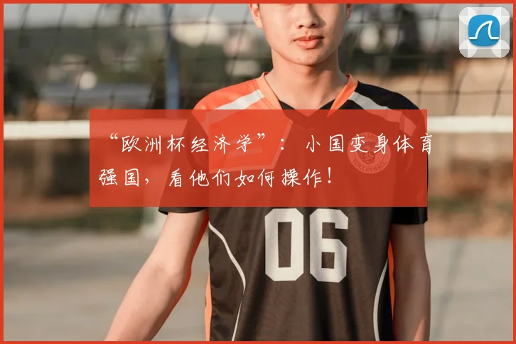 “欧洲杯经济学”：小国变身体育强国，看他们如何操作！